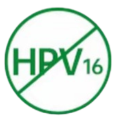 99.99% inactivated HPV16 virus